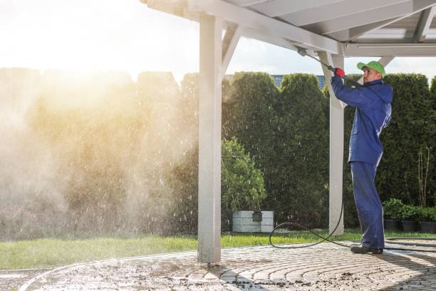 Best Graffiti Removal  in Wilton Manors, FL